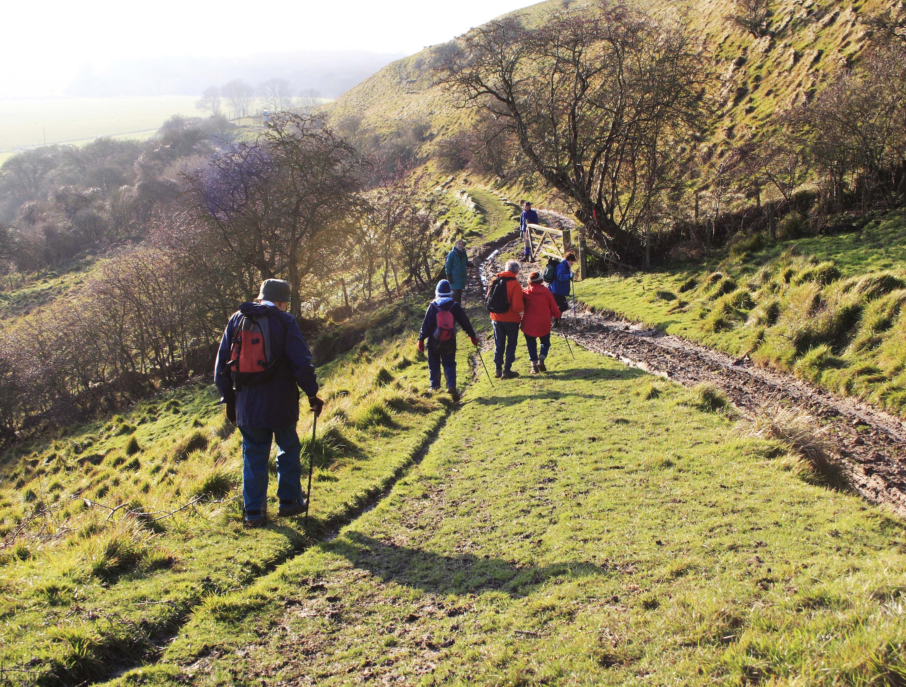 Peter follows his friends on a 'birthday' walk