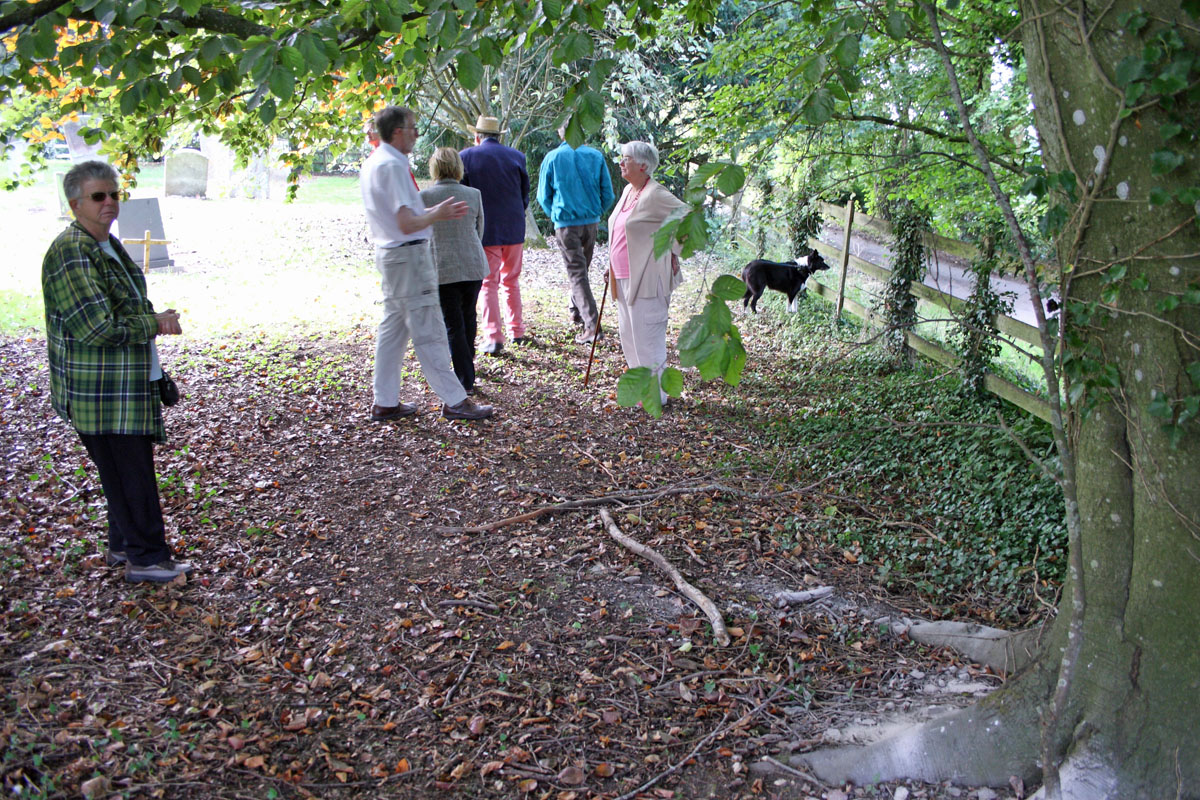 The Tree in the Churchyard